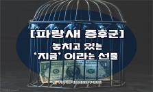 [파랑새 증후군] 놓치고 있는 '지금'이라는 선물
